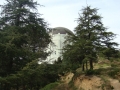 Griffith Observatory